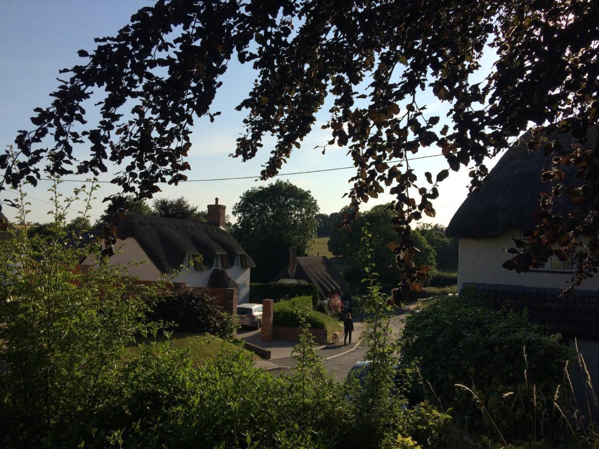 Guest Suite At 31 Little England Milborne Saint Andrew Экстерьер фото