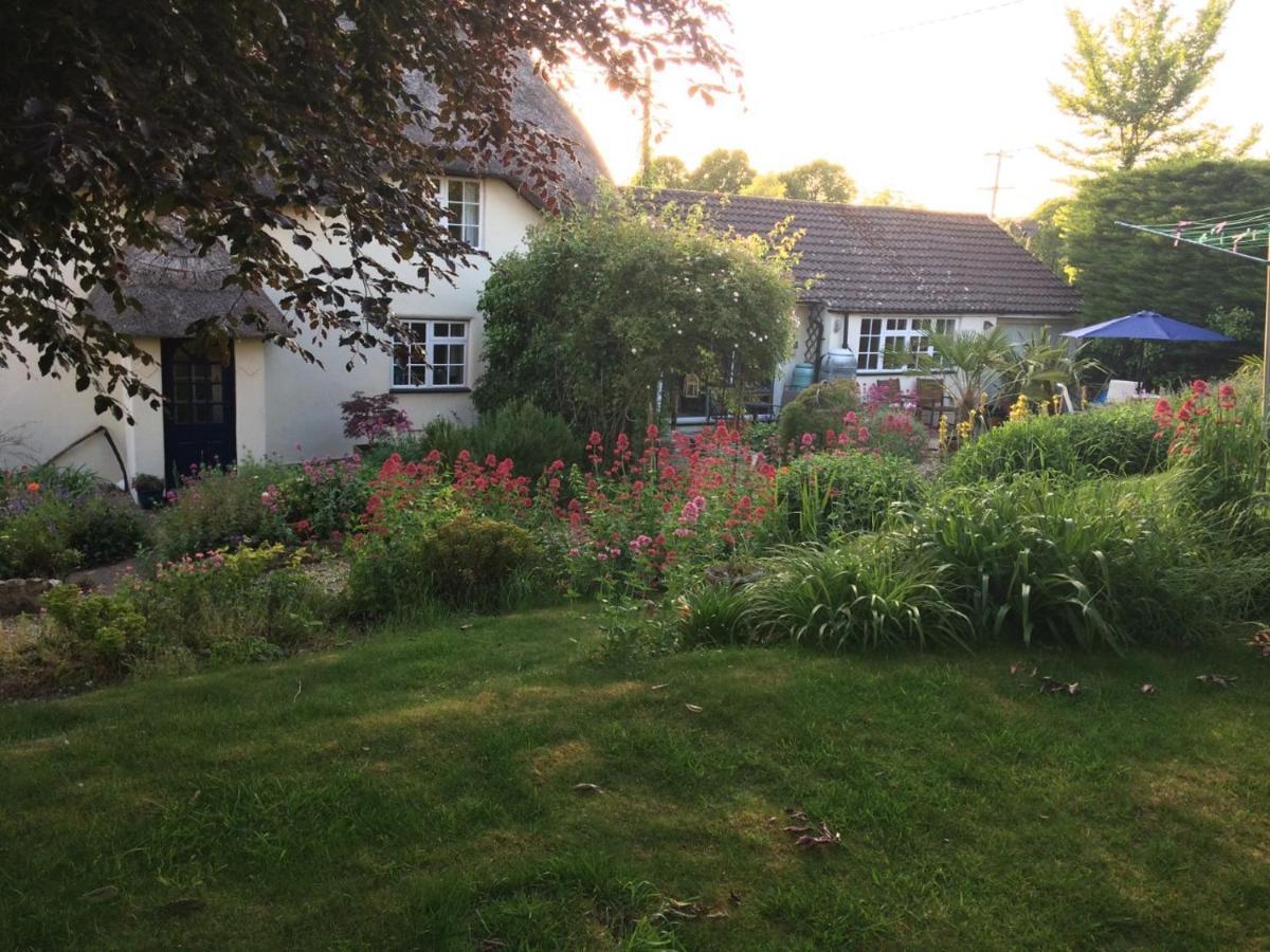 Guest Suite At 31 Little England Milborne Saint Andrew Экстерьер фото